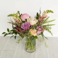 Stem and Style Design Series 1